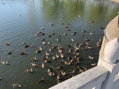 -宿豫区运河湾森林动物园