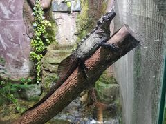 -上海大自然野生昆虫馆