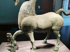 -广西壮族自治区博物馆