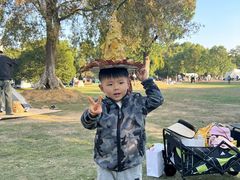 -艾溪湖湿地公园