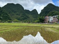 -靖西鹅泉风景区