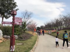 -天适樱花悠乐园