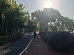 -公平路渡口(轮渡站)