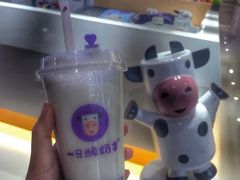 -一只酸奶牛(八一路店)