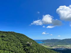 -三亚亚龙湾人间天堂鸟巢度假村