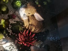 -嘉禾·悦享餐厅(八方汇店)