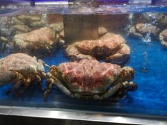 -盒马鲜生(顺义店)