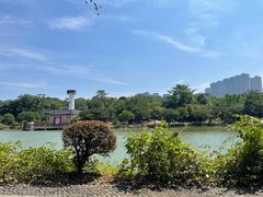 -广西壮族自治区药用植物园