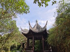 -南沙蒲洲花园