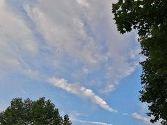 -中国海洋大学游泳馆