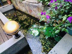 -外婆船宴餐厅·外婆喊你回家吃饭