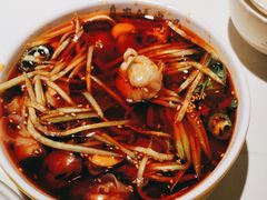 -京城·森鸽排档(双井店)