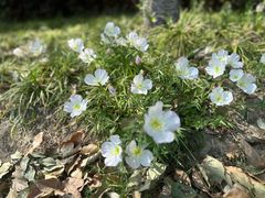 -昆山城市生态森林公园