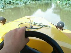 -溱湖国家湿地公园