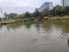 -官洲(地铁站)