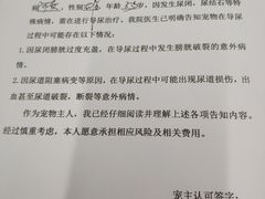 -瑞派动物医院·猫专科·至诚(江南中分院)