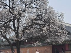 -景福宫