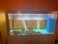 -Acqua海蓝意大利餐厅