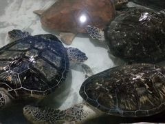 -杭州海底世界