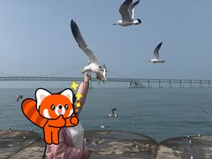 -星海广场