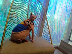 -藏猫猫咖啡主题馆(中央大道店)