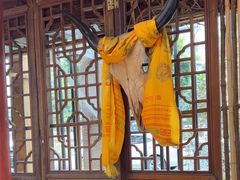 -三道苗苗鱼·美蛙黄辣丁(八里店)