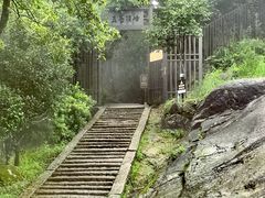 -玉苍山国家森林公园
