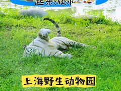 -上海野生动物园
