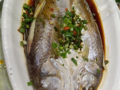 -东北大厦酒店(沈阳北站青年大街店)