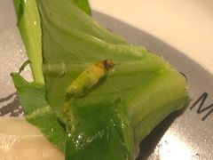 -老鸭集(金沙龙湖天街店)