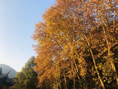 -严子陵钓台(富春江小三峡)