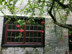 -合肥滨湖国家森林公园