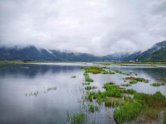 -腾冲北海湿地
