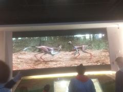 -辽宁古生物博物馆