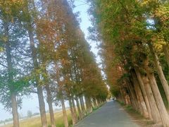 -嘉北郊野公园