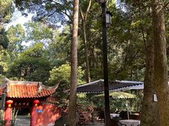 -都江堰普照寺