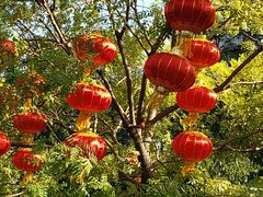 -丰台花园