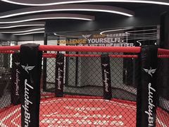 -金吉鸟健身游泳