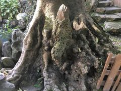 -福建民俗博物馆