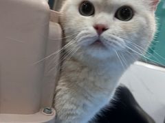 -伟伟宠物医院·CT影像中心·瑞派犬猫综合性门诊(汉口总院)