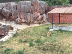 -无锡动物园·太湖欢乐园