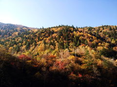 -梭磨河大峡谷