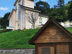 -四川省成都市彭州市白鹿镇