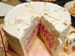 -维尔纳斯·生日蛋糕动物奶油冰淇淋蛋糕(人大店)