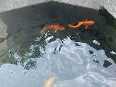 -西安市广仁寺