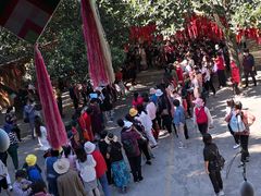 -西双版纳原始森林公园