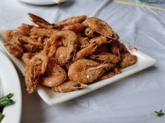 -京北渔家傲