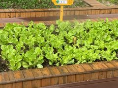 -上海市徐汇区果果幼儿园(华发园)