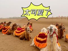 -库木塔格沙漠