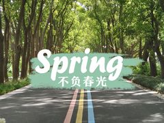-同里国家湿地公园
